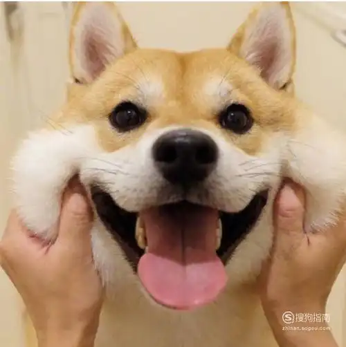 女朋友不开心该怎么哄