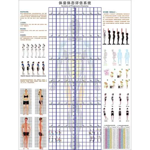 成人儿童通用体态评估表健身瑜伽馆形体测量模特舞蹈培训壁画墙纸