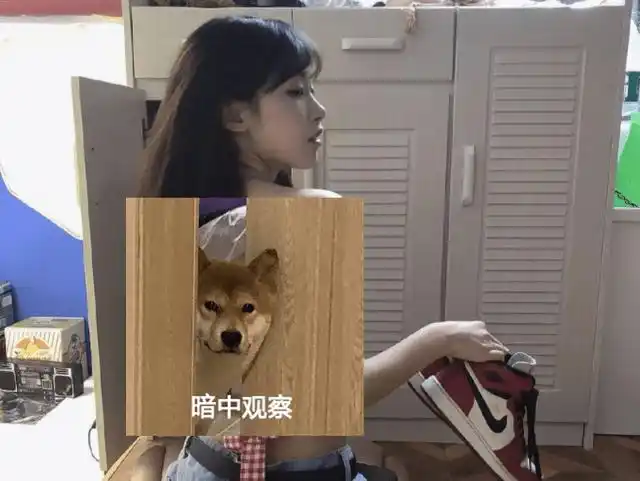 原创还记得被骂上热搜的半藏森林吗她终于退网如今落魄无人问