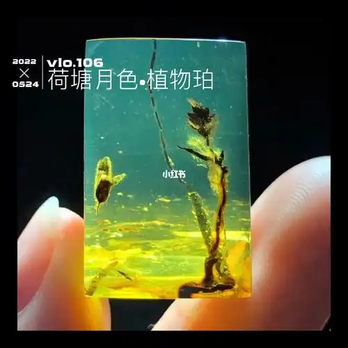 缅甸琥珀植物珀荷塘月色