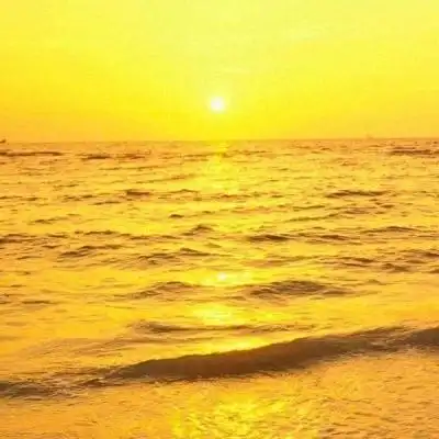 江软/黄色系背景/如果有一种颜色_风景静物头像_我要个性网