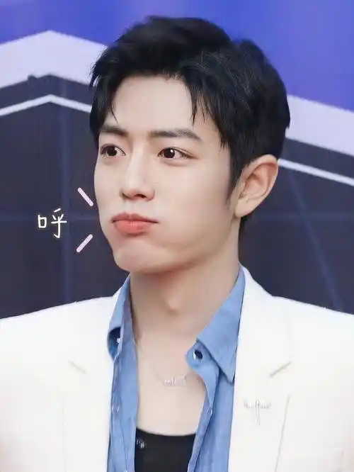 肖战红毯一个动作上热搜,粉丝表示确认过动作是南方人_战哥_小飞侠