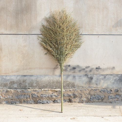 卫洋环卫竹扫把大扫把竹马路扫竹子户外加大加宽扫院子扫帚竹笤帚竹