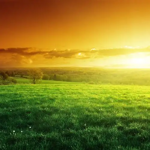 绿色草原头像风景清新淡雅,令人神清气爽