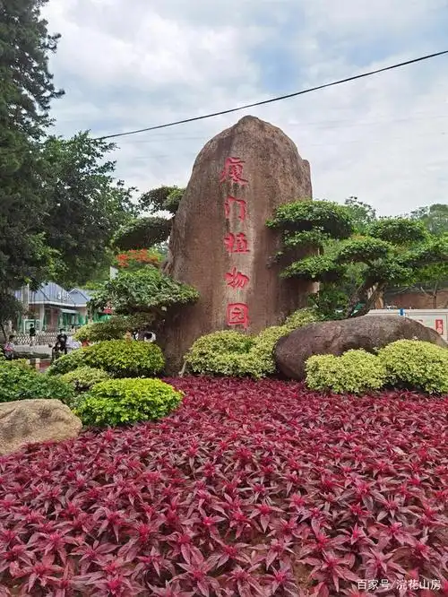游厦门万石植物园,看精美奇趣植物,赏清雅自然风光