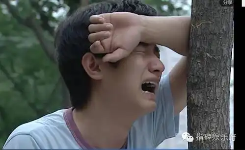 曾经被《奋斗》里文章的哭感动得一塌糊涂 现在就