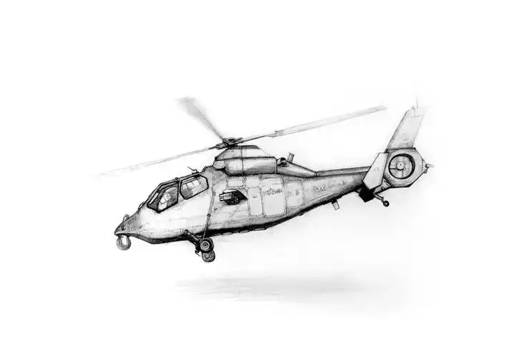 国家战斗机|插画|插画习作|dulong - 原创作品 - 站酷 (zcool)