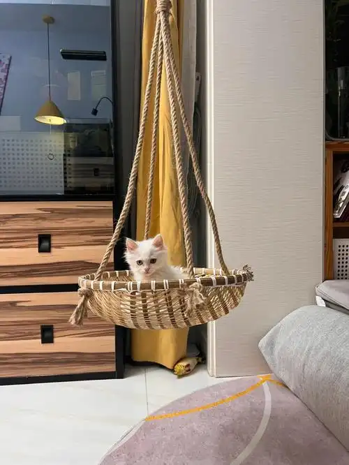 自制猫挂篮