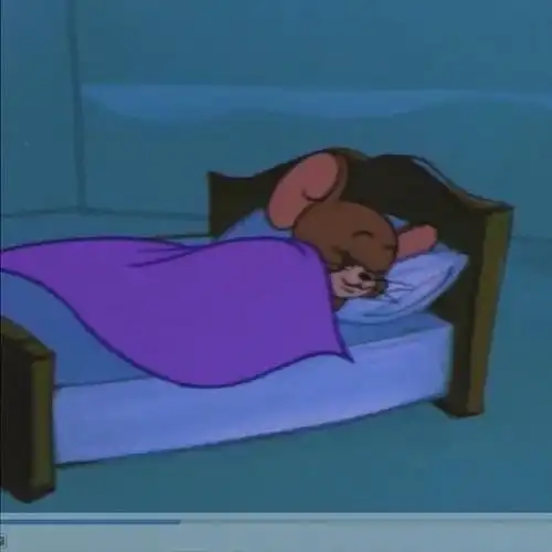 求正在睡觉的头像