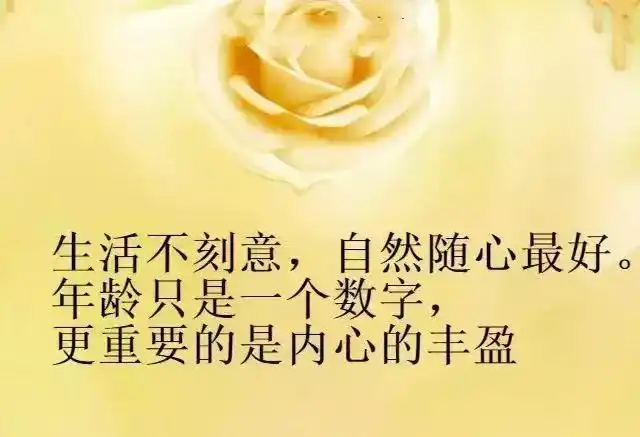 好心情的句子短语,发个开心的朋友圈(每天保持好心情的说说)