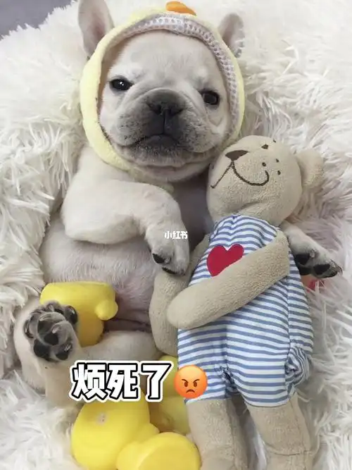 为什么对我爱搭不理的就你忙