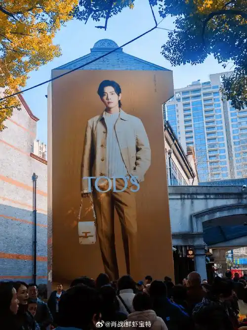 tods全球品牌代言人肖战##肖战线下活动