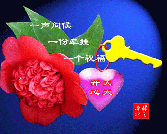 567_454gif 动态图 动图