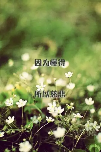 壁纸 看清心痛,看懂伤情