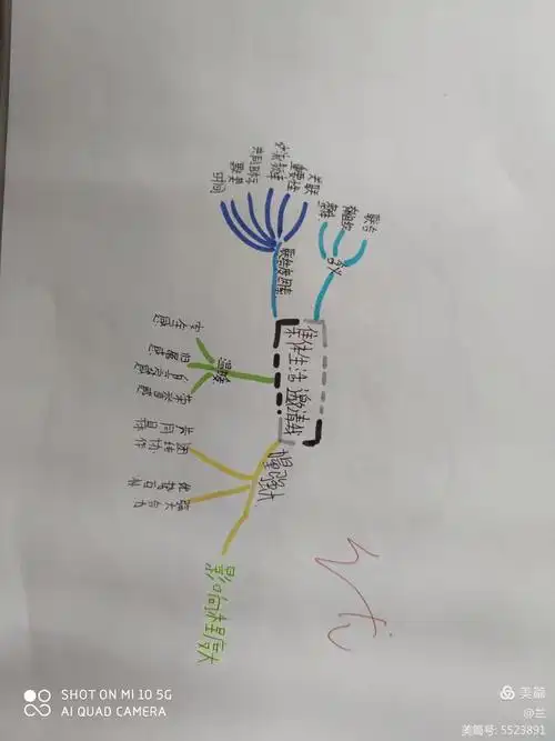 第六课我和我们思维导图