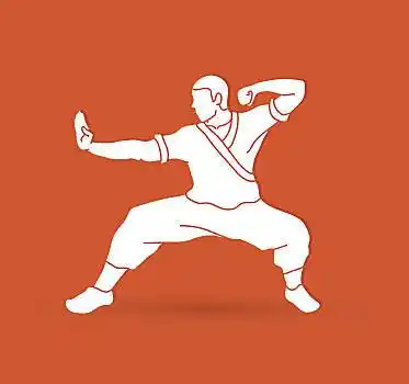 功夫,动作,就绪,争斗,矢量