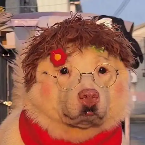 沙雕头像 - 真沙雕才该用的头像#无水印头像大全##头像