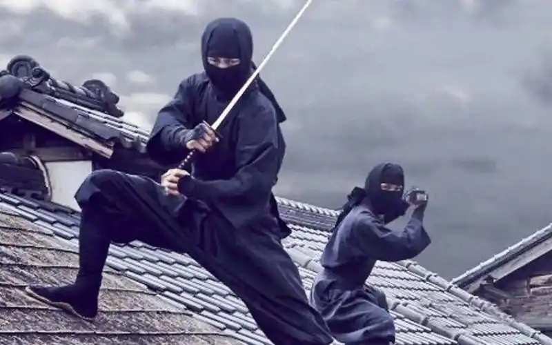 今天带你了解日本的忍者文化