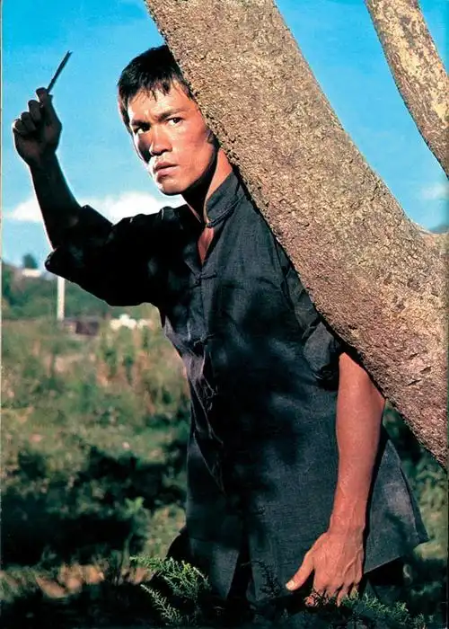 猛龙过江_电影介绍_评价_剧照_演员表_影评 - 酷乐米