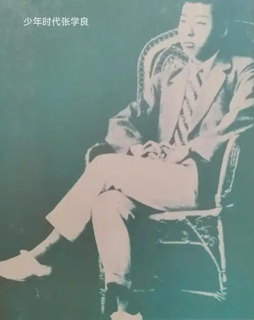 陕西西安事变纪念馆初夏行|张学良|杨虎城|东北军|陕西省_网易订阅