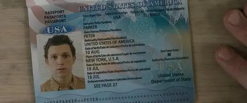 有无人喜欢明星护照的这种证件照风格