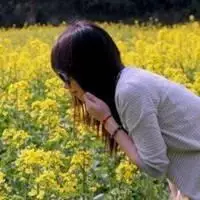 油菜花背影女生头像_唯美油菜花女生背影头像图片