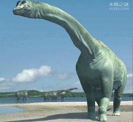 地球上体型大的恐龙重约300吨 瞬间踩扁霸王龙