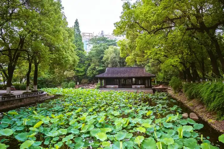 江阴旅游景点有哪些(江阴) - 悦闻天下
