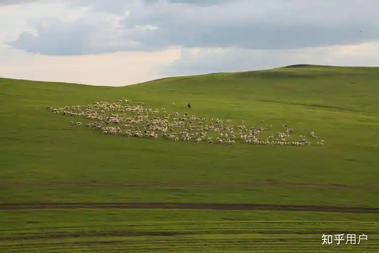 第一次去呼伦贝尔大草原旅游应该怎么安排