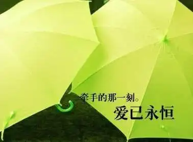 今天 ,我突然很想告诉 世界 上所有的人, 珍惜