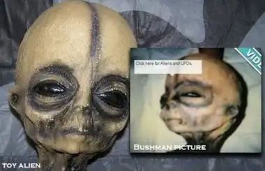 美国承认有活体外星人揭秘美国51区外星人真相