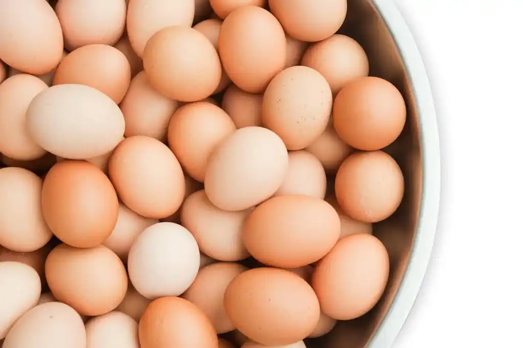 母鸡鸡蛋在背景中,母鸡鸡蛋在白色背景