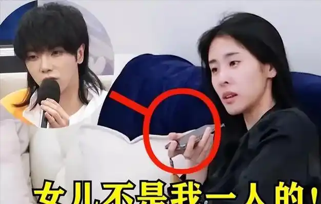 有一种"谋算"叫张碧晨和华晨宇,孩子4岁了,才明白这盘大棋!