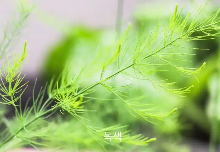 自己做壁纸系列#调色  #治愈系壁纸  #壁纸分享  #摄影日常