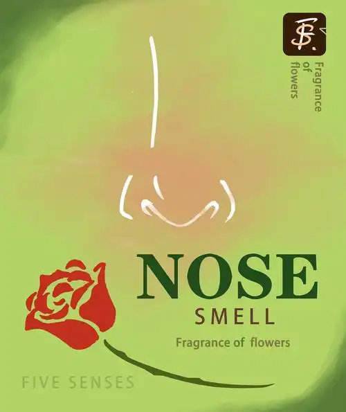 《five senses》- 五感对情绪影响|平面|海报|lanksen - 原创作品