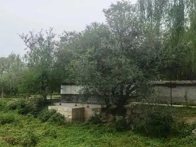 北京大兴区团河行宫遗址公园.