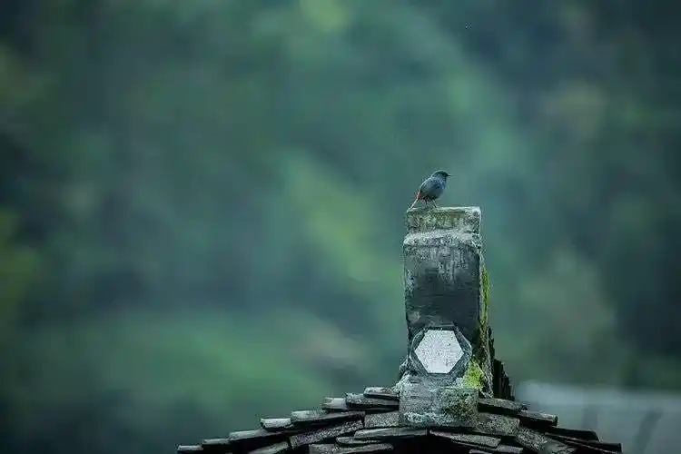 得之坦然失之淡然顺其自然