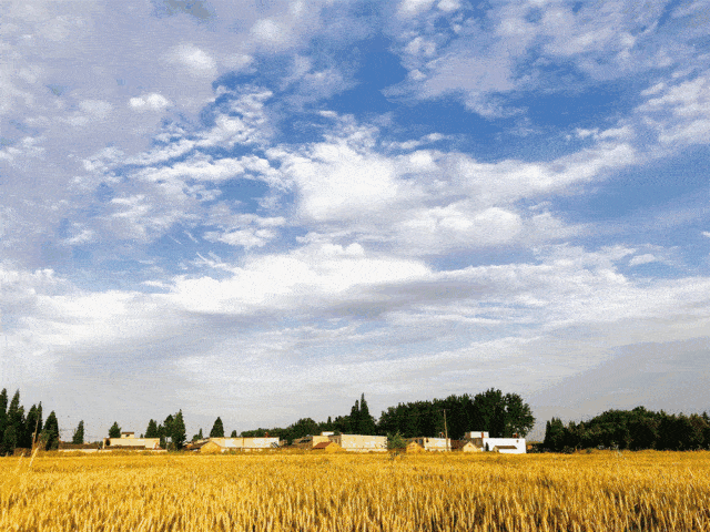 640_480gif 动态图 动图