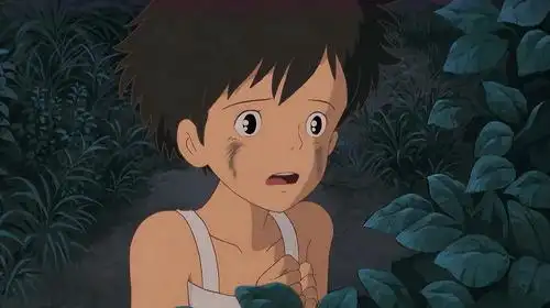 龙猫:草壁皋月太勇敢,为了寻找妹妹,敢于冒险!