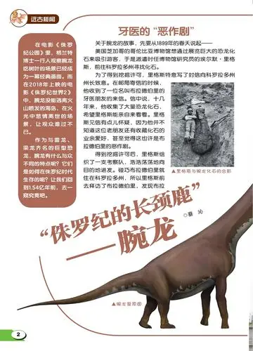 "侏罗纪的长颈鹿"——腕龙--中国数字科技馆