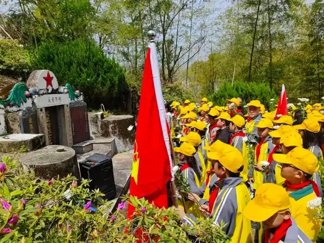 清明祭英烈61鲜花敬忠魂丨黄岩区各中小学组织开展清明祭扫活动