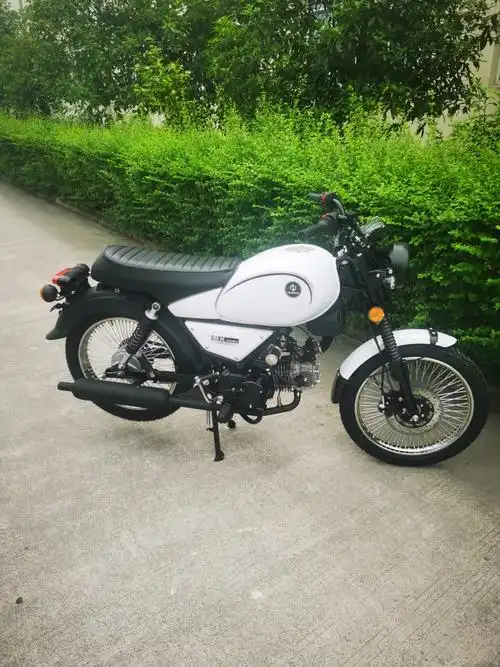 小排量国产复古摩托颢晨轻风110辐条轮毂标配abs