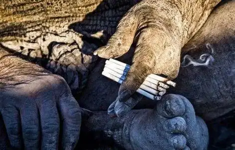 世界上最长时间不洗澡的人,60年未洗澡,吃烂肉吸牛粪!_网易订阅