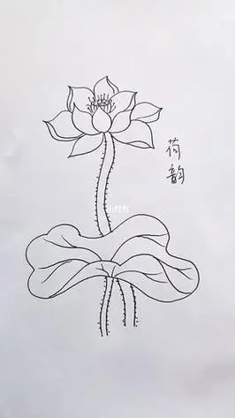 怎样画荷花简单画法荷花怎样画又好看又简单