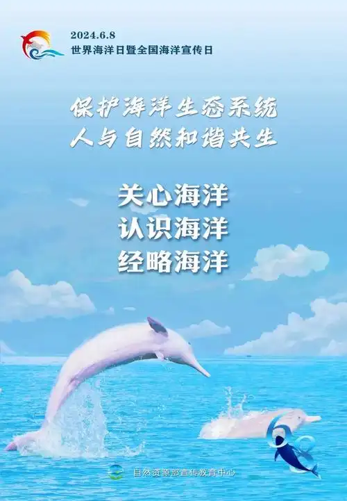 6·8世界海洋日|茂名展示馆科普海洋知识,等你来打卡