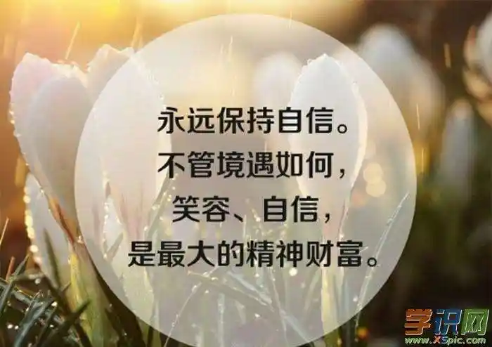 格言励志短句唯美(干净简短的励志句子)