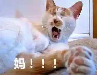 可爱猫咪喊妈表情集