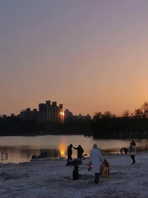 大宁郁金香公园