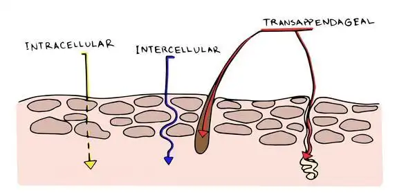 孕期护肤大全,来了(孕妇皮肤,如何护肤,护肤品选择,能否化妆)
