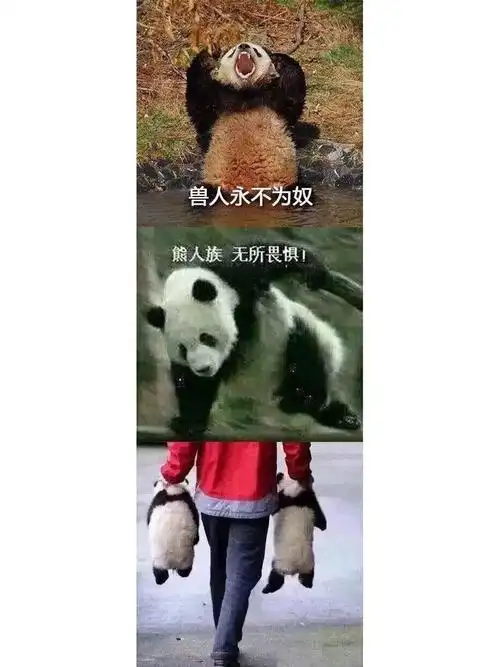 还是一些个人的想法建议